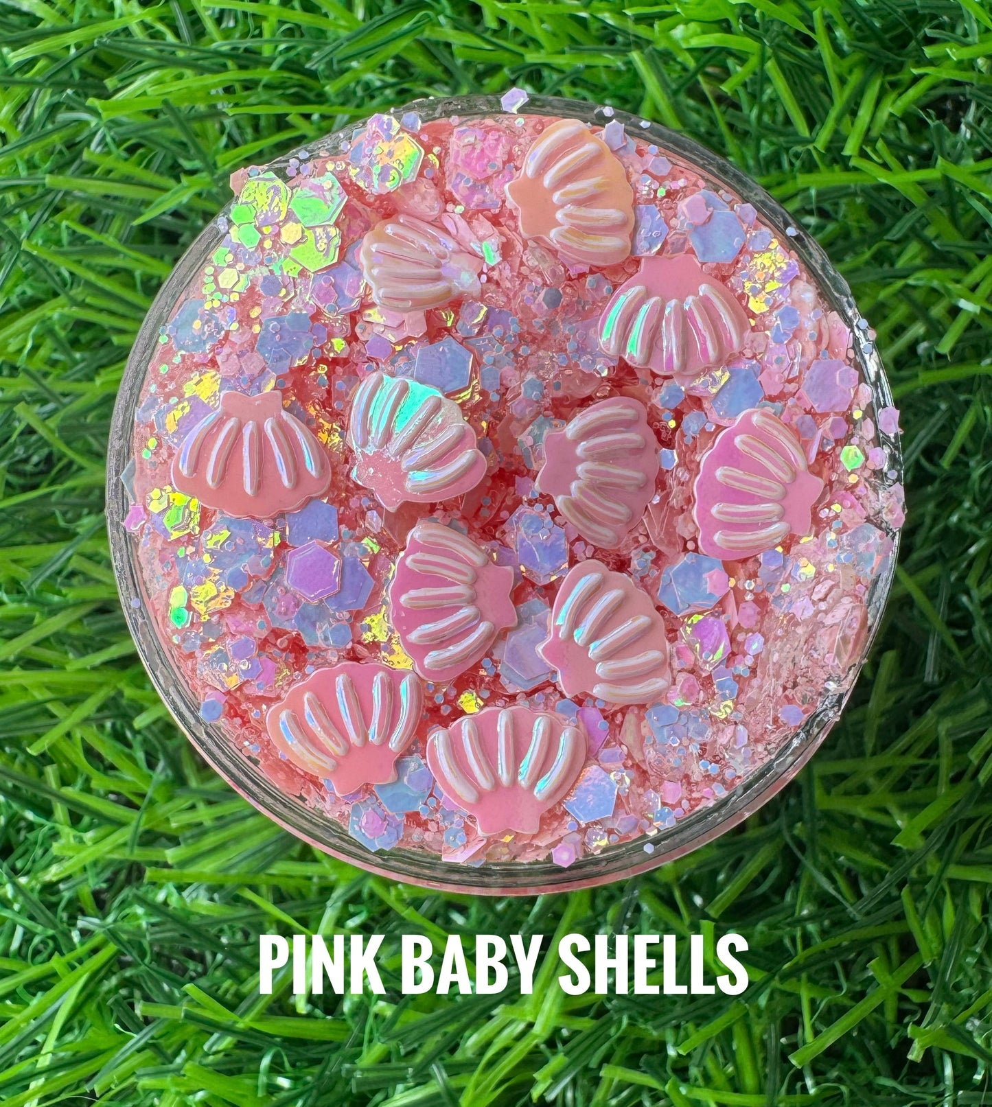 Solid Seashell Stack